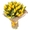 Тюльпаны от производителя - надежный и выгодный бизнес - Изображение #2, Объявление #1675662