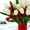 Великолепные Букеты тюльпанов к 8 марта оптом недорого #1675670