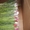 Шикарные букеты из тюльпанов к 8 Марта под заказ - Изображение #1, Объявление #1675669
