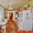 Продается жилой дом с мебелью в г.Смолевичи. От Минска-31км. - Изображение #6, Объявление #1719712