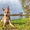 Лис -красивая собака в дар - Изображение #3, Объявление #1379521