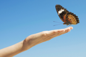 стань консультантом Oriflame! #17329