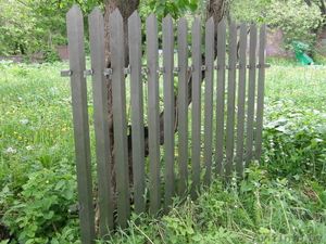 Забор металлический   толщ.мет. 1.4 - Изображение #2, Объявление #36385