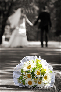 Видеосъёмка свадеб и других торжеств профессионально - Изображение #1, Объявление #60173