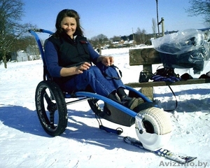 Универсальное инвалидное кресло-коляска Морской конек - Изображение #2, Объявление #66234