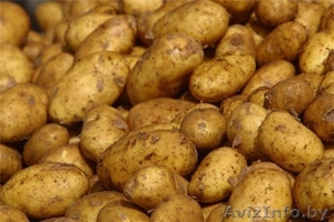 Картофель урожая 2010 - Изображение #1, Объявление #85702