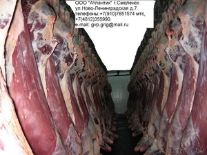 Закупаем мясо птицы,свинины,говядины г.Смоленск - Изображение #1, Объявление #91738