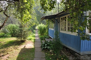 Элитный участок в сосновом лесу  в Минске - Изображение #2, Объявление #88361