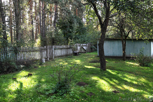 Элитный участок в сосновом лесу  в Минске - Изображение #3, Объявление #88361