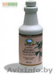 Nature's Noni Juice (Сок Нони) 473 мл. #146959