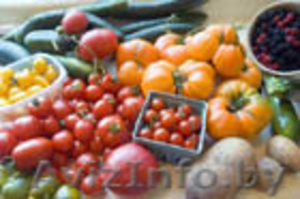 Куплю овощи оптом в Беларуси - Изображение #1, Объявление #275653