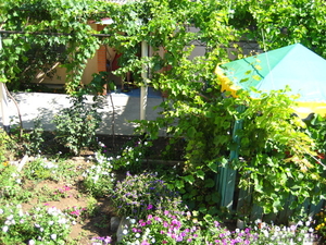 Отдых в Крыму!! Частный пансионат,  недорого 8-10 долл. 