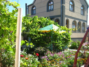 отдых недорогой в крыму