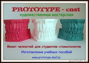 Изготовление модели зубочелюстной системы человека - Изображение #2, Объявление #403298