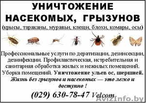 Уничтожение насекомых, грызунов (мыши, крысы, тараканы, блохи, муравьи, клопы - Изображение #1, Объявление #419072