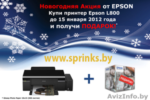 Принтер Epson L800 + подарок - Изображение #1, Объявление #478417
