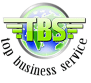 Топ Бизнес Сервис #529099