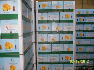Прямые поставки цитрусовых из Египта - Изображение #4, Объявление #599304