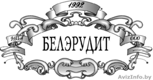 Компания БелЭрудит - Изображение #1, Объявление #613265