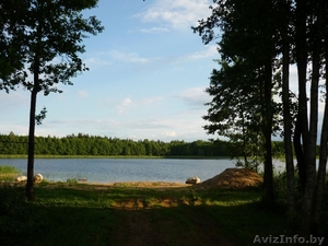 летний отдых на браславских озерах - Изображение #2, Объявление #628094