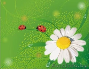 Каменюки - сдам квартиру