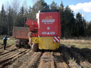 СЕЛЬХОЗ. УСЛУГИ ПО УБОРКЕ КАРТОФЕЛЯ