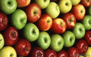 Продаем высококачественные сорта яблок, выращенные в Беларуси - Изображение #1, Объявление #776026