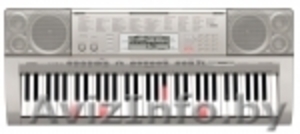 Продаю синтезатор Casio LK-270 , в комплекте со стойкой "Геркулес".  - Изображение #1, Объявление #765684