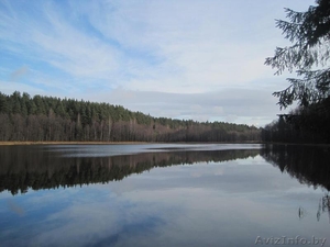 Продам Настоящий Хутор в лесу у воды берег лесной реки рядом озёрами  на Белорус - Изображение #2, Объявление #803424
