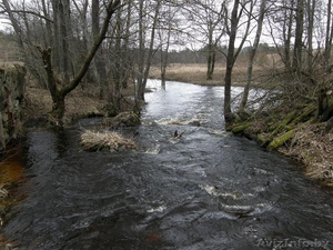 Продам Настоящий Хутор в лесу у воды берег лесной реки рядом озёрами  на Белорус - Изображение #8, Объявление #803424