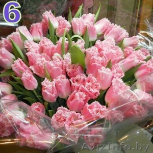 Тюльпаны к 8 Марта в Минске - Изображение #4, Объявление #840701