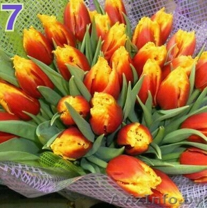 Тюльпаны к 8 Марта в Минске - Изображение #5, Объявление #840701