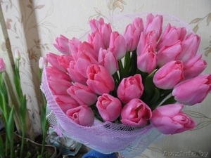 Тюльпаны к 8 марта ))) - Изображение #9, Объявление #161274