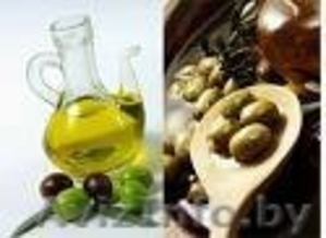 Оливковое масло из Турции от производителя - Изображение #1, Объявление #889709