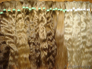 Продажа натуральных волос для наращивания - Изображение #2, Объявление #881377
