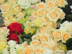 Цветы розы оптом от 15000р - Изображение #1, Объявление #900030