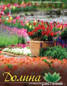 саженцы, цветы, семена собственного производства и вед.производителей Европы - Изображение #1, Объявление #938643