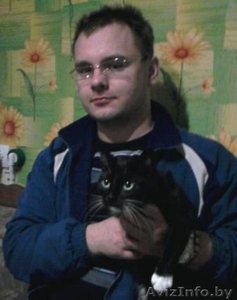 Предлагаю обучение английскому языку.