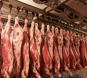 Куплю говядину в больших объемах - Изображение #1, Объявление #1038091