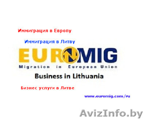 Вид на Жительство в Литве, бизнес в Литве, иммиграция в Европу, визы - Изображение #2, Объявление #1047006