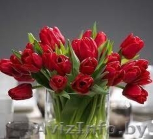 Тюльпаны по оптовым ценам. - Изображение #1, Объявление #1035424