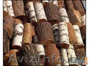 Распилим дрова на чурки по 30, 40 см. - Изображение #3, Объявление #1056180