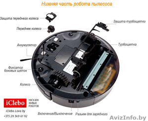Робот-пылесос iClebo PoP в Беларуси - Изображение #1, Объявление #1089693
