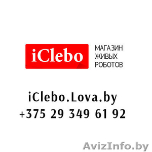 Робот-пылесос iClebo Arte в Беларуси - Изображение #6, Объявление #1089695