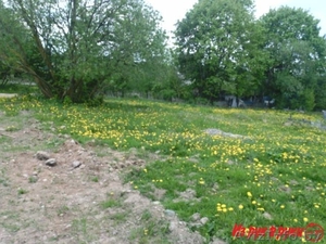 Продам земельный участок в Дзержинском районе - Изображение #7, Объявление #1098381