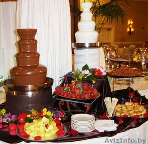 Шоколадный фонтан на ваш праздник - Изображение #2, Объявление #1118445