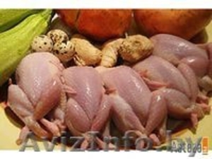 Продам домашнее мясо птицы - Изображение #3, Объявление #1135050