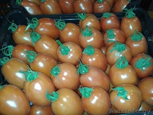 продаем томаты из Испании - Изображение #2, Объявление #1188250