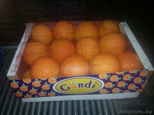 продаем апельсины из испании - Изображение #1, Объявление #1188221