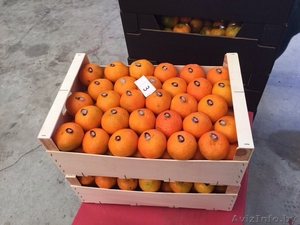 продаем мандарины из Испании - Изображение #4, Объявление #1188219